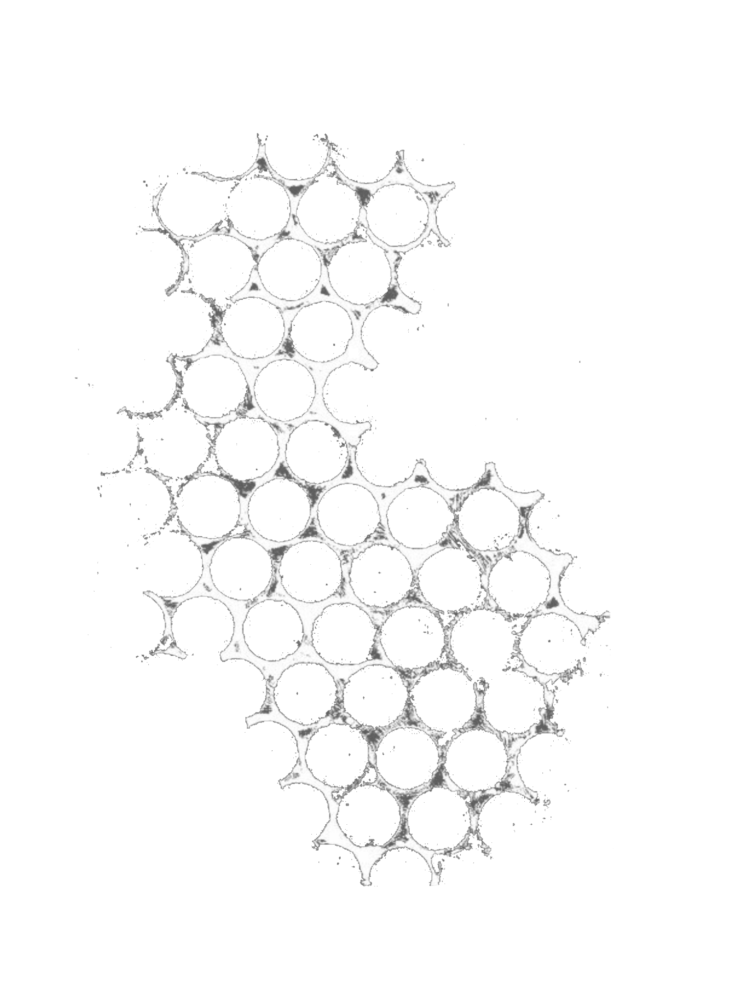 grille