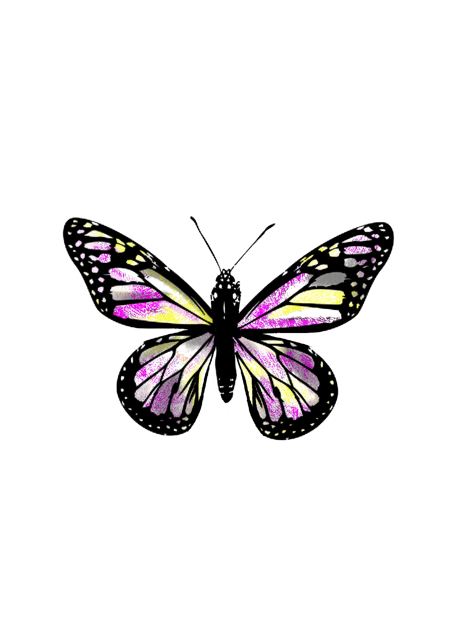 papillon